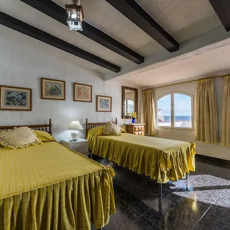 Coki Deluxe - First Line Of The * Telde