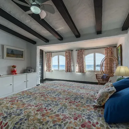 Coki Deluxe - First Line Of The Willa