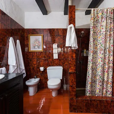 Coki Deluxe - First Line Of The *