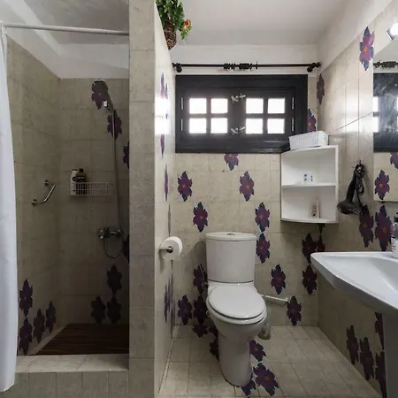 Coki Deluxe - First Line Of The * Telde