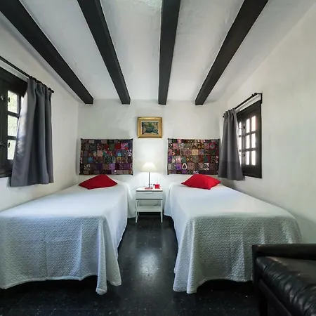 Coki Deluxe - First Line Of The *