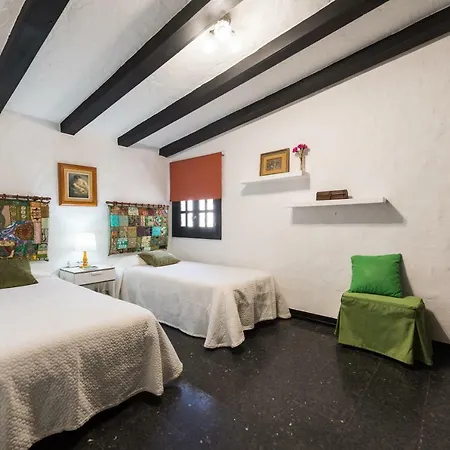 Willa Coki Deluxe - First Line Of The Telde