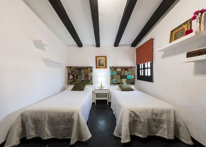 Coki Deluxe - First Line Of The * 特尔德