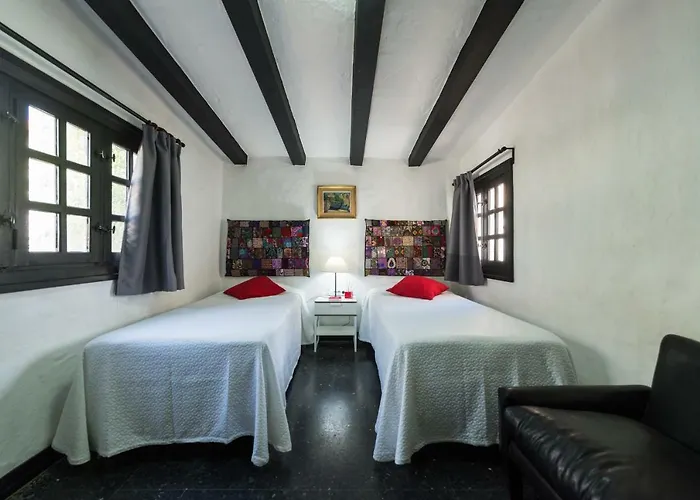 Coki Deluxe - First Line Of The *